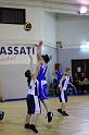 Basket 242043